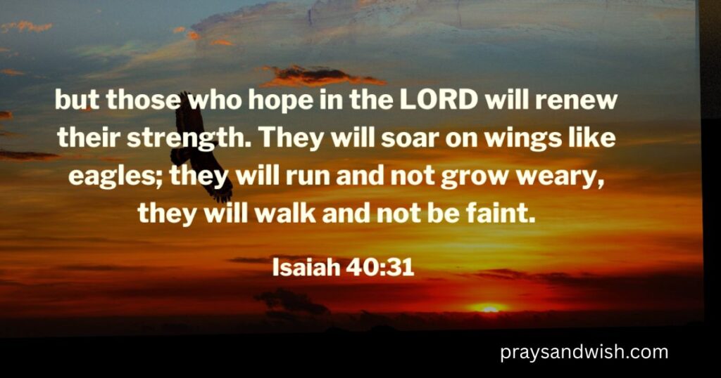 Bible Verses About Youth and Wisdom