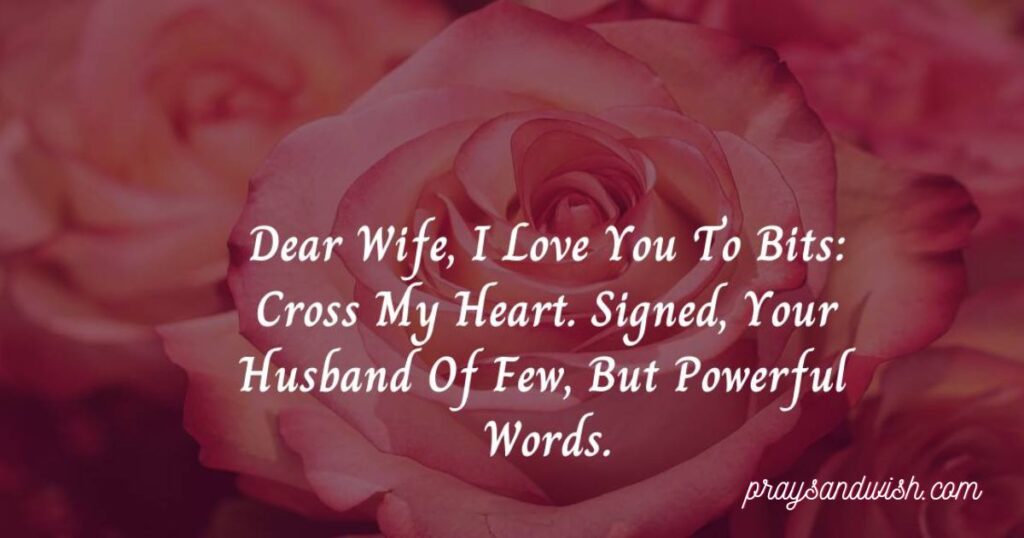 Love Quotes for Wife From Husband