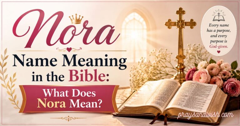 Nora Name Meaning in the Bible: What Does Nora Mean?