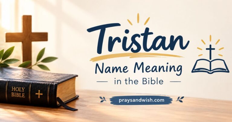 Tristan Name Meaning in the Bible