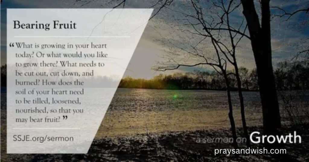 What It Means to Grow, Flourish, and Bear Fruit With God